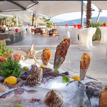 Secluded Bay Presidential Villa Milas